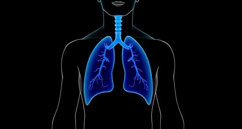 Cuerpo y voz: una mirada integral a la expresión hablada y cantada (nivel experto)