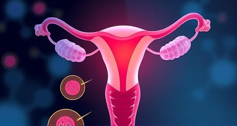 Imagen del curso: Aplicaciones del tecnologia medica en ginecoestetica regenerativa y funcional